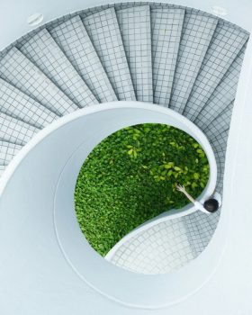 stairs